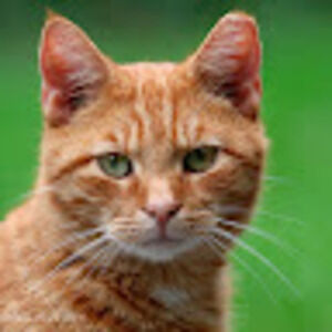 Meet your Posher, Aiden